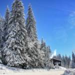 Igman Mountain by Safet Isovic