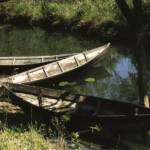 Hutovo blato Nature Park and Bird Reservoir